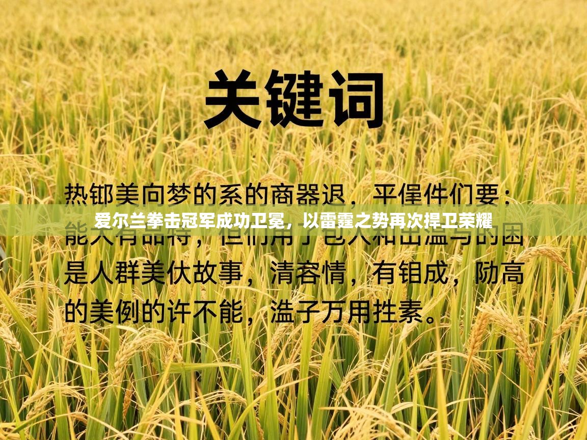 爱尔兰拳击冠军成功卫冕，以雷霆之势再次捍卫荣耀  第1张