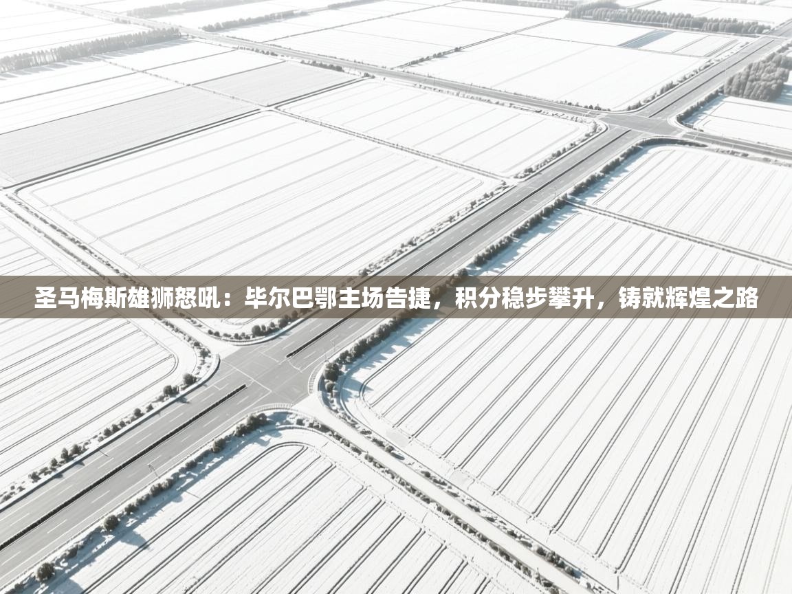 圣马梅斯雄狮怒吼：毕尔巴鄂主场告捷，积分稳步攀升，铸就辉煌之路  第2张