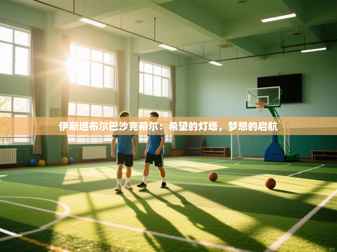 伊斯坦布尔巴沙克希尔:希望的灯塔,梦想的启航 第1张