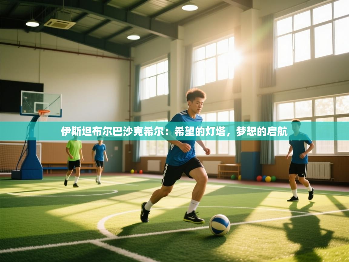 伊斯坦布尔巴沙克希尔:希望的灯塔,梦想的启航 第2张